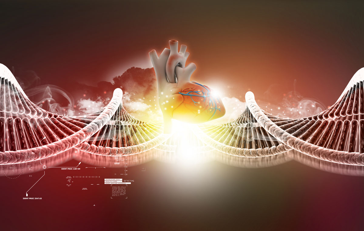 Unveiling the Role of Genetics in Cardiovascular Risks: Essential Insights for Young Individuals