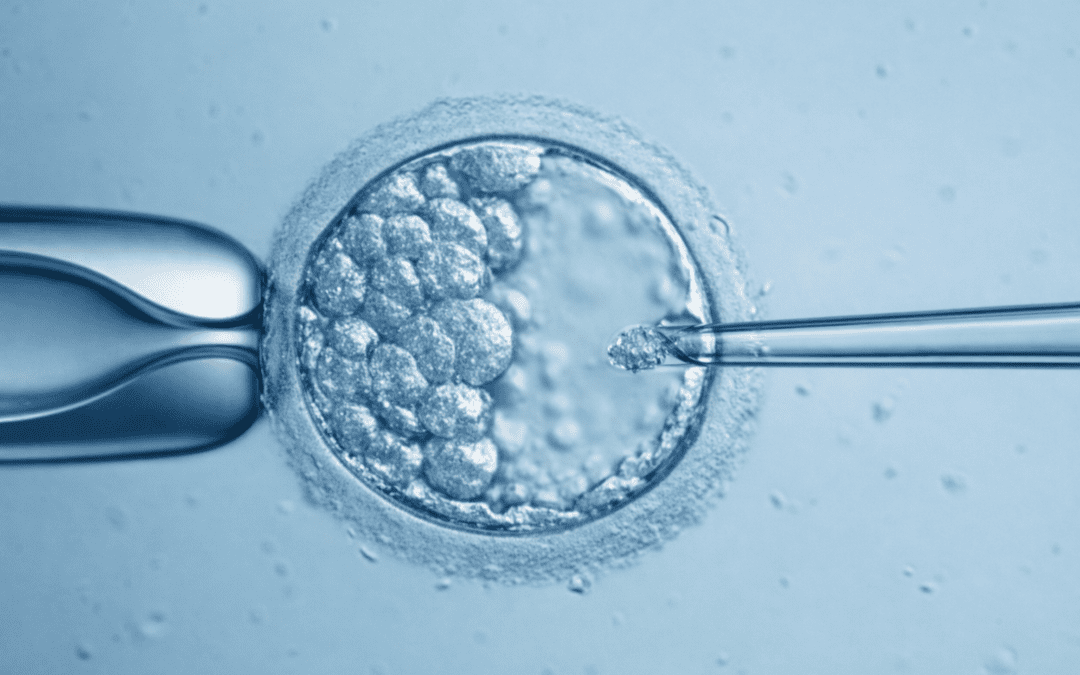 PGT-M Explained: A Step-by-Step Guide to Genetic Testing with IVF